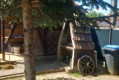 Casă cu Teren 1000 Mp în Tismana - 4