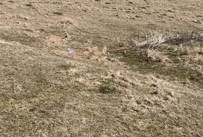 Spațiu comercial, în Șirnea - 10