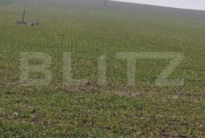 Teren Construcții intravilan de 1500 mp, în Exterior Est - 2