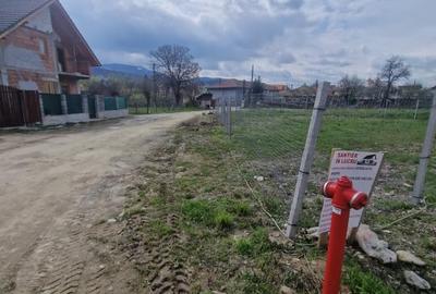 Teren Intravilan 464mp , spre vanzare in centru in  Talmaciu - 2