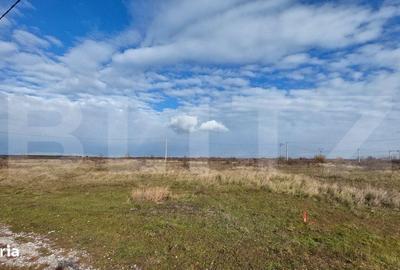 Spațiu comercial, în Sânmihaiu Român - 1