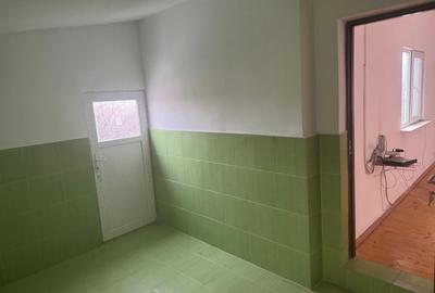 Tomesti - Osoi, vila cu spatiu comercial la parter , 2400mp teren cu iaz si pomi - 15