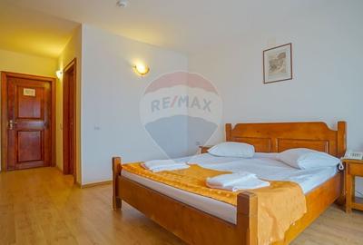 Hotel/Pensiune, de 2,950 mp, în Pănicel - 28