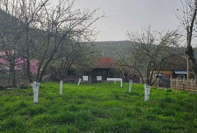 Casă cu 3 camere în Ocișor - 8