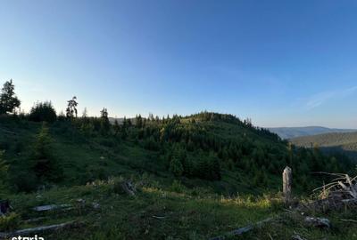Teren de 500000 mp, în Ciocănești - 12