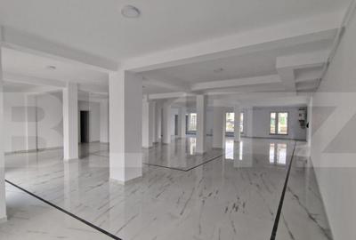 Spatiu comercial nou, 307 mp, 7 locuri parcare, Dumbravita - 9