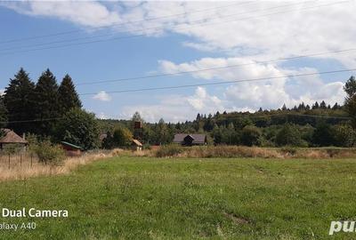 Teren de 700 mp, în Sâmbăta de Sus - 6