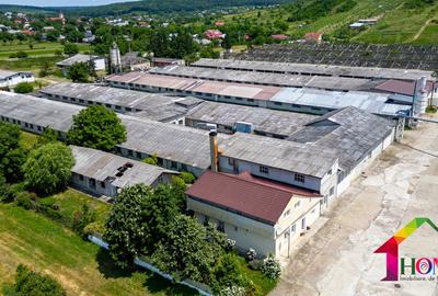 Teren 100.000 mp + Spatii Industriale Bacau - 11