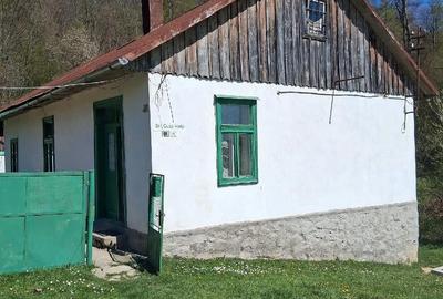 Casă cu Teren 4000 Mp în Central - 2
