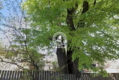 Spațiu comercial, în Central