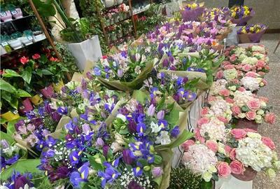 Afacere la cheie - Florarie cu traditie, pozitionata central - 5