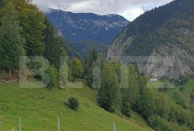 Teren 13.570 mp, Moieciu Pestera - 5