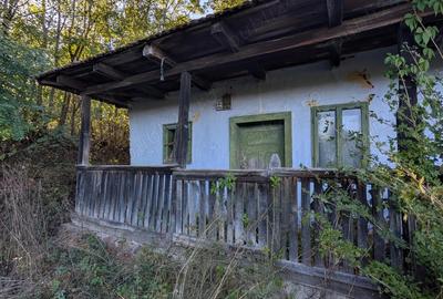 Casa ?araneasca cu livada ?i gradina mare,Vata de jos,Hunedoara - 7
