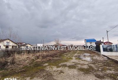 Teren de 7000 mp, în Bradu - 5