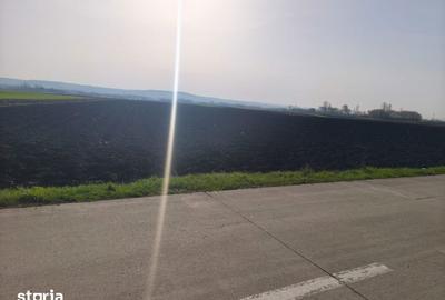 Teren de 9300 mp, în Satu Mare - 1