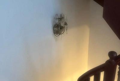 Zona Mosilor inchiriere vila -Curte individuală - 3
