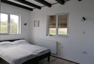 Imobil tip pensiune Dangau Mare - 6