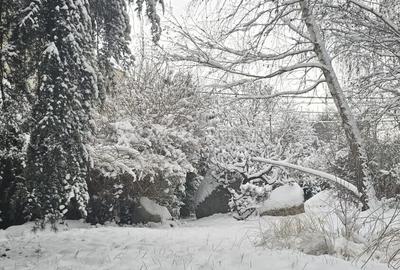 Casă individuală cu 4 camere cu Canalizare în Băneasa - 28