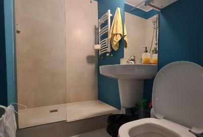 Garsoniera impecapila - ultracentral - unirii DB1318 - 6