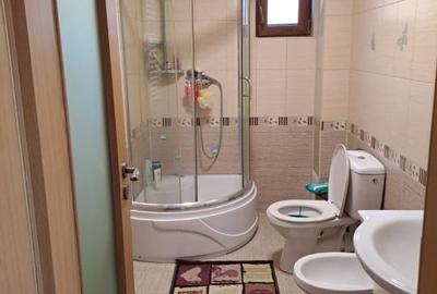 Proprietar vând casă în Giroc - 11