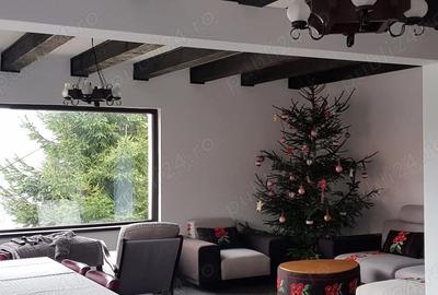 Casă cu 4 camere cu Teren 18000 Mp în Colibița - 1