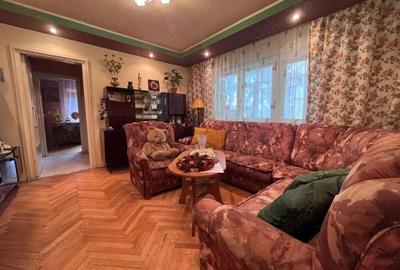 Apartament cu 2 camere semidecomandat în Gojdu - 13