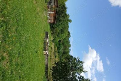 Casă cu 3 camere cu Teren 2000 Mp în Coaș - 4