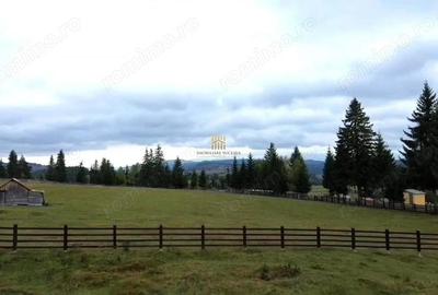 Teren de 16813 mp, în Fundu Moldovei - 18