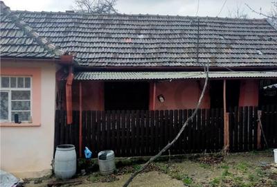 Reco Casa 3 camere si teren 2.600mp in Burzuc - 5