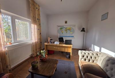 Dristor, Camil Ressu, 15 minute metrou, pe strada Ilioara - 2