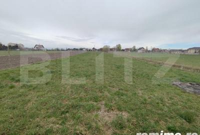 Casă cu 4 camere cu Teren 2500 Mp în Horodnic - 8