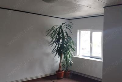 Apartament 4 camere Apartament 4 camere - 2