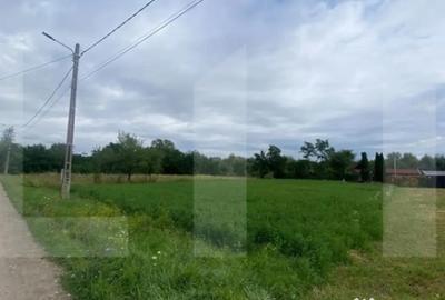 Teren de 1080 mp, în Dobolii de Jos - 3