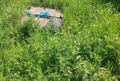 Teren de 500 mp, în Paleu - 2