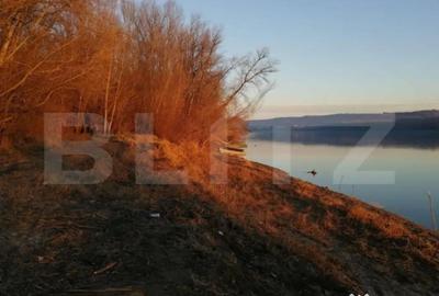 Teren de 120000 mp, în Divici - 5