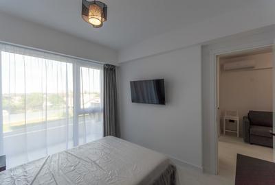 Garsonieră semidecomandată, mobilată în Theodor Pallady - 11