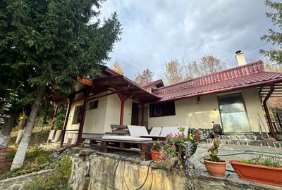 Casă cu 4 camere cu Teren 1527 Mp în Tăuții de Sus - 17