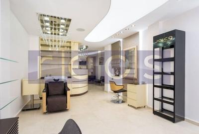 Vilă Premium ideală pentru Beauty Hub / clinică estetică  | Tei | an 2016 - 9