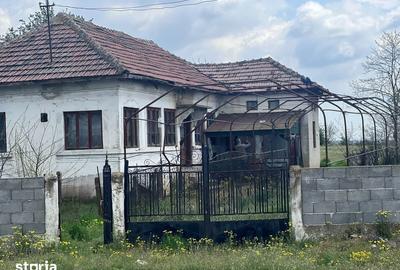 Casă cu 3 camere cu Teren 2504 Mp în Teasc - 3