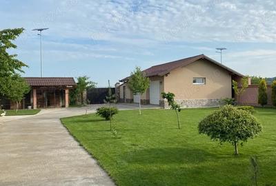 Casă cu Teren 1500 Mp în Central - 5