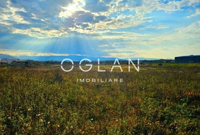 Teren Selimbar-DN1, comercial/industrial, COMISION 0% - 13