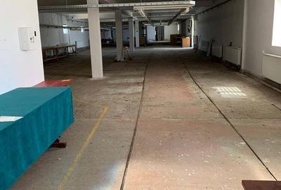 Spațiu comercial, de 3,150 mp, în Sebiș - 9