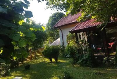 Casă cu 7 camere cu Teren 300 Mp în Lepșa - 10