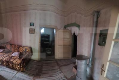 Blitz va ofera spre vanzare o casa cu teren generos in Cer - 12