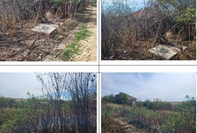 Casă cu 2 camere cu Teren 1691 Mp în Guruieni - 12