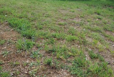 Teren intravilan Faget - 1