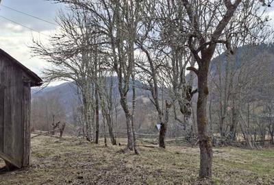 Casă cu 3 camere în Vale - 1