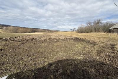 Teren Construcții intravilan de 1556 mp, în Horodnic de Jos - 5