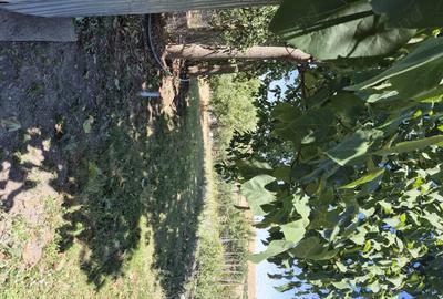 Casă cu 5 camere în Zăbrani - 6