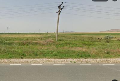 Teren arabil 20ha Cerna/Tulcea - 2